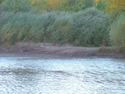 into_the_second_river_crossing