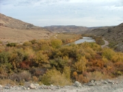 first_view_of_the_river