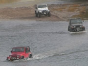 monica_michael_and_roger