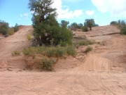 again_and_again_hill
