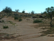 bumpy_trail