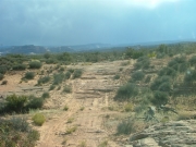 fun_trail