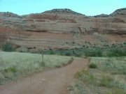 mellow_trail