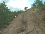 twisty_hill_climb
