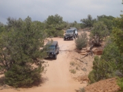 jeeps_on_the_trail