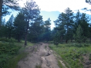 ruts