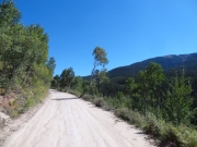 hills