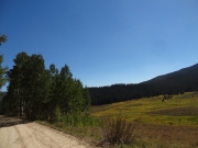 meadow