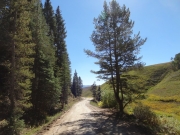 narrow
