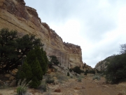 canyon_walls