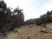 eagle_canyon_wash