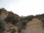out_of_the_canyon