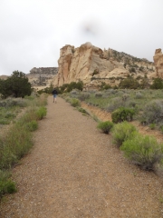 swasey_cabin_walk