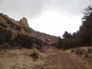 wash_narrows