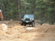 ladd_on_the_trail
