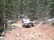 brian_d_on_the_trail