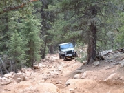 ladd_on_the_trail