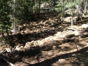 rocky_creek_crossing