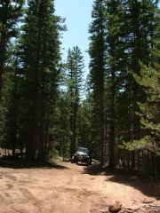austin_on_the_trail
