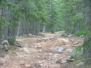 early_trail