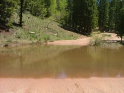 pond_at_the_start