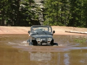 robert_through_the_pond_part_2