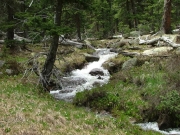stream