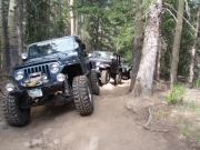 jeeps