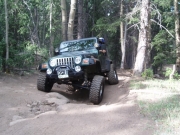 matt_flexing
