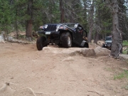 terry_on_the_last_obstacle