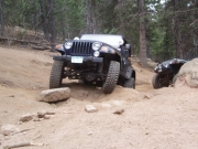terry_on_the_second_obstacle