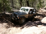 bill_flexing_part_2