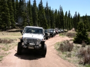 group_shot
