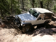 roger_on_the_trail