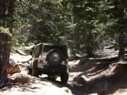roger_up_the_trail_part_2