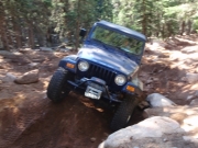 terry_on_a_big_rock_part_2