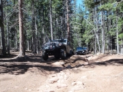 jeeps_on_the_trail