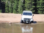 roger_in_water