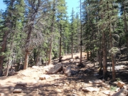 trail_part_1