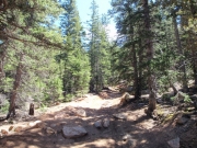trail_part_2