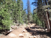 trail_part_3
