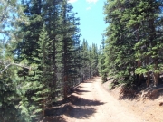 trail_part_4