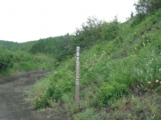 connector
