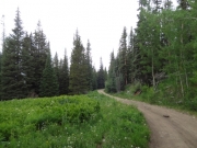 curve_through_green