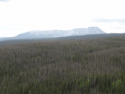 gore_range