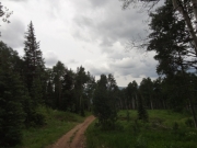 little-used_trail