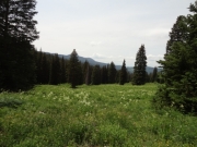 mountain_scene