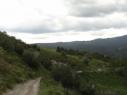 piney_ridge_part_2