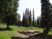 ruts