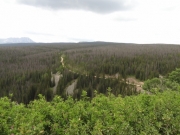 trail_ahead